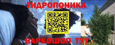 Альфа ПВП Камышлов