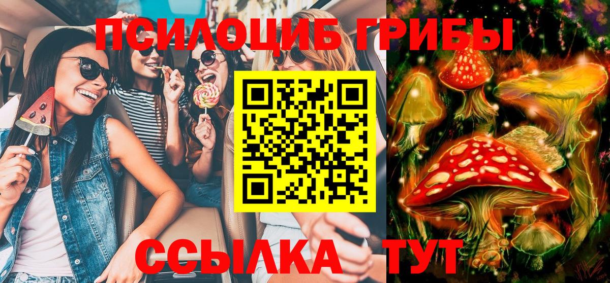 Галлюциногенные грибы Cubensis  Псилоцибиновые грибы мухоморы  Вход с VPN  Вологда 